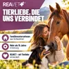 REAVET Olio di cardo mariano per cani e cavalli, 1 litro – Anteprima dell’immagine prodotto 7