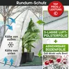 BRAST Überwinterungszelt Foliengewächshaus Mini Gewächshaus Produktbild-Vorschau 4