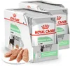 Royal Canin CCN Digestive Care 24x85g Nassfutter Pastete Produktbild-Vorschau 1