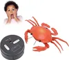RC krab hračka vzdelávanie simulované morské zvieratá Náhľad obrázku produktu 2