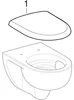 Geberit Renova Set WWC-T Turboflush T54 mit WC-Sitz, 1 Stk. Produktbild-Vorschau 12