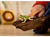 Wild Life Europäischer Laubfrosch Produktbild-Vorschau 6