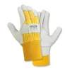 (12 Paar) teXXor Handschuhe Winterhandschuhe Himalaya II 12 Produktbild-Vorschau 2