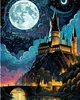 PEINTURE PAR NUMEROS AVEC CADRE Ecole de Poudlard de nuit Voir les images du produit 1