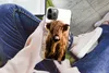 MuchoWow® Handyhülle Schutzhülle Hülle für iPhone 12 Pro Produktbild-Vorschau 3