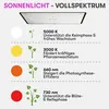 Diagram illustrating different light spectrums and their effects on plant growth, with a grow light fixture shown at the top. Náhľad obrázku produktu