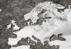 Akustikbild Weltkarte 200x100 cm Bilder Akustikschaum Produktbild-Vorschau 3