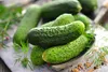 SAFLAX - BIO - Gurke - Vorgebirgstraube - Cucumis sativus - Produktbild-Vorschau 5