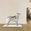 Balance numérique pour animaux de compagnie, balance pour Voir les images du produit 7