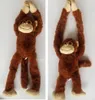 Inware Kuscheltier Affe mit Klett braun 20 cm Plüschaffe Produktbild-Vorschau 3