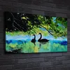 Coloray Canvas 140x70  Wandbild Leinwand Bilder Tiere Produktbild-Vorschau 2