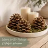 Pinienzapfen 10 Stück 8-12 cm Pinus pinea groß Tannenzapfen Produktbild-Vorschau 7