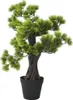 vidaXL Bonsái artificial de pino con maceta, 60 cm, color Vista previa de la imagen del producto 1