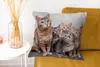 MuchoWow® Zierkissen Sofakissen Wohnzimmer Dekokissen 50x50 Produktbild-Vorschau 6