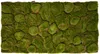 Repiterra® Terrarium Rückwand 3D Hintergrund Moos Design Produktbild-Vorschau 1