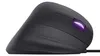 TRUST Trust GXT 144 Rexx mouse da gioco destro USB Type-A Anteprima dell’immagine prodotto 6