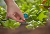 GARDENA 6-Flächen-Sprühdüse 2 Stück-1396-20 Produktbild-Vorschau 3