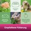 PANTO Blütenwiese 6 x 750g - Heu für Nager mit Blüten Produktbild-Vorschau 5