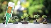 Bonsai-Dünger - 30 ml - Flüssig - Regeneriert Pflanzen - Produktbild-Vorschau 4