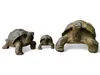 Tortue en pierre - Piscine, jardin, terrasse - Jaunâtre en Voir les images du produit 5