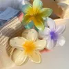 Camerazar Set di 4 fermagli floreali colorati per la Anteprima dell’immagine prodotto 7
