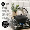 A black cast iron teapot on a gas stove with a flame underneath. Produktbild-Vorschau