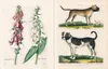 John Derian Sticker Book Produktbild-Vorschau 3