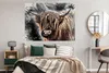 MuchoWow® Poster Schottischer Highlander - Tiere - Farbe Produktbild-Vorschau 4