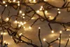 A close-up view of a string of warm white LED lights. Produktbild-Vorschau