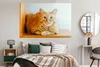 MuchoWow® Poster Katze - Holz - Schrank 180x120 cm - Produktbild-Vorschau 4