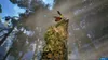 A butterfly perched on a mossy rock in a sun-dappled forest. Produktbild-Vorschau