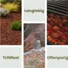 A collage of images showing red lava rocks in different settings: a garden, a rocky landscape, and on a grill. Produktbild-Vorschau