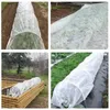 MIKONI Pflanzvlies | 1,1 m x 5 m |  Weiß | Frostschutzvlies Produktbild-Vorschau 7