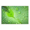DEQORI Hybrid Leinwand Bild 90x60 cm 'Grüne Juwelen' Produktbild-Vorschau 2