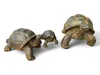 Tortue de pierre - Piscine, jardin, terrasse - Jaunâtre en Voir les images du produit 4