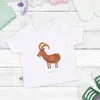 Mr. & Mrs. Panda Babyshirt Sternzeichen Steinbock 6. - 12. Produktbild-Vorschau 3
