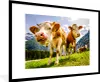 MuchoWow® Gerahmtes Poster Kühe - Berge - Gras - Landschaft Produktbild-Vorschau 1