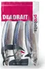 Köderfische Makrele Mittelgroß - Vakuumverpackt | 25-30CM | Produktbild-Vorschau 2