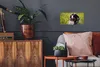 MuchoWow® Poster Ein Berner Sennenhund zwischen gelben Produktbild-Vorschau 2