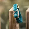 Kentucky Dogwear Hundehalsband Velvet Halsband Emerald XXS Produktbild-Vorschau 4