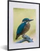 MuchoWow® Gerahmtes Poster Eisvogel - Zweig - Vogel 30x40 Produktbild-Vorschau 1