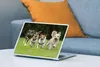 MuchoWow® Laptop Aufkleber Sticker Cover Eine Gruppe von Produktbild-Vorschau 4