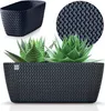 Truhlík SPLOFY CASE 29,7 cm - barva: antracit Anteprima dell’immagine prodotto 6