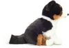 Teddy-Hermann Teddy Hermann Border Collie tricolore seduto, Anteprima dell’immagine prodotto 6