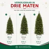 Triumph Tree Bristlecone Fir Pilar - Smalle Kerstboom voor Productafbeelding-voorbeeld 7