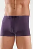 H.I.S. Boxer Boxershorts für Herren 5 -teilig aubergine, Produktbild-Vorschau 2