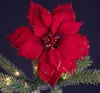 Weihnachtsstern Blume auf Clip 24cm rot Produktbild-Vorschau 6