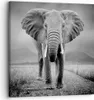 Bild auf Leinwand - Leinwandbild - Einteilig - Elefant Produktbild-Vorschau 1