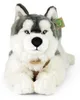 Velký plyšový pes husky s postrojem 60 cm ECO-FRIENDLY Náhled obrázku produktu 2