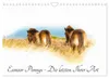 Exmoor Ponnys - Die letzten Ihrer Art (Wandkalender 2027 Produktbild-Vorschau 1